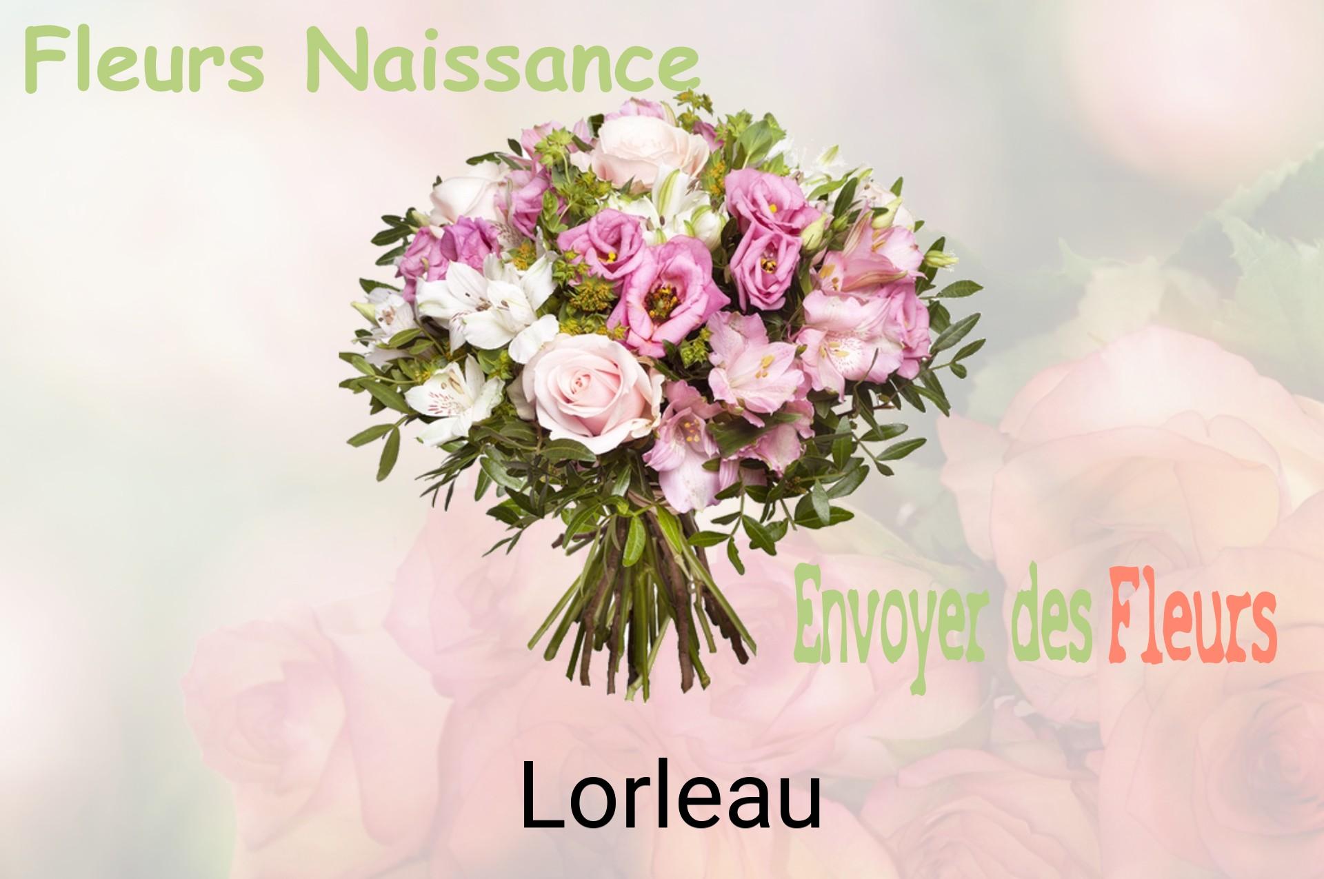 Bouquet de fleurs de naissance livré à Lorleau